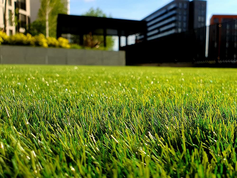 petar-tonchev-c-5-QE5kBYk-unsplash Giardinaggio -Ecopul-